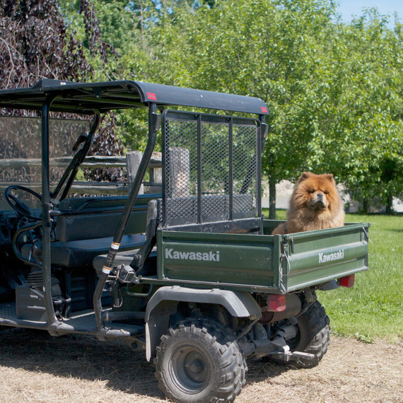 donkeypaddock-7046-fs-0614.jpg