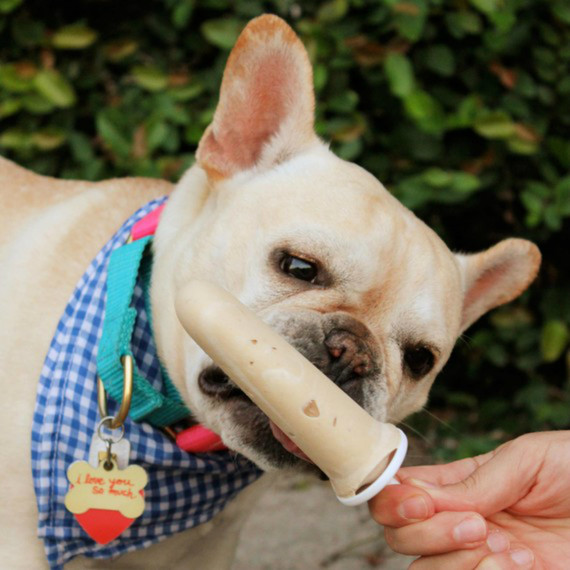frannypopsicle01_2000x3175_sq.jpg (skyword:403707)