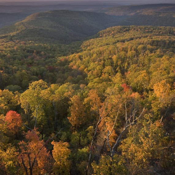 getty_ozark