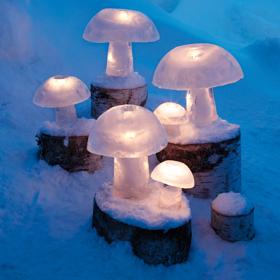 ice-mushroom-0048-ld111141.jpg