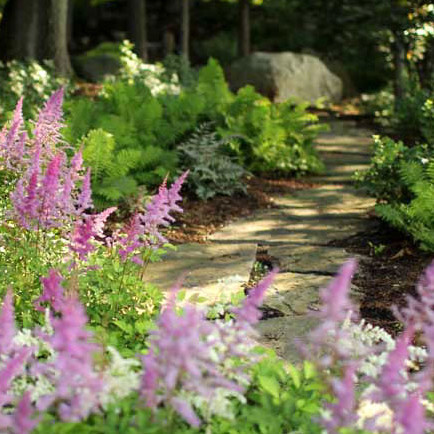landscaping trends garden path landscaping trends garden path