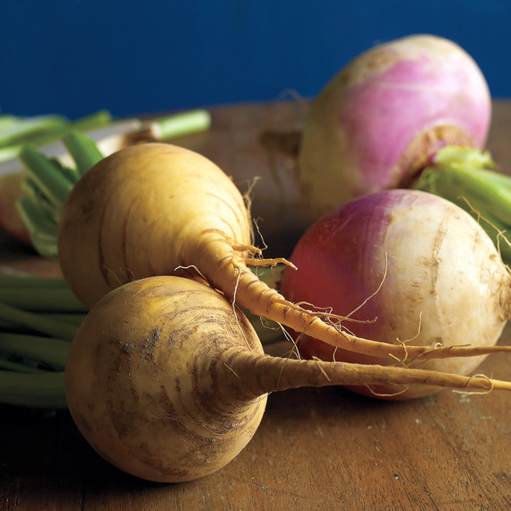 med105471_1210_sea_turnips.jpg