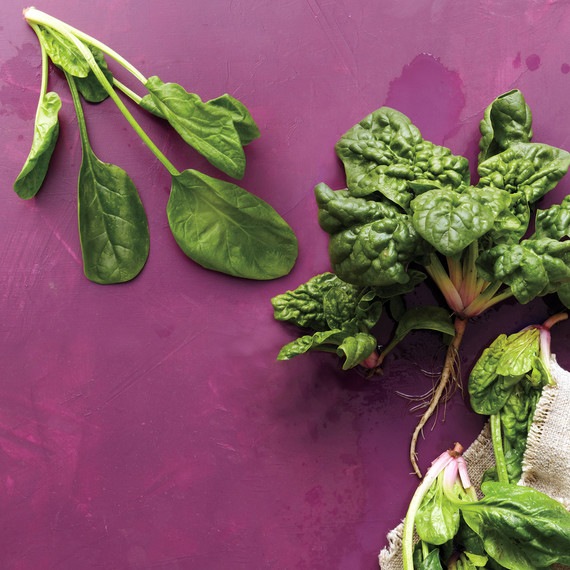 med106601_0411_sea_spinach.jpg