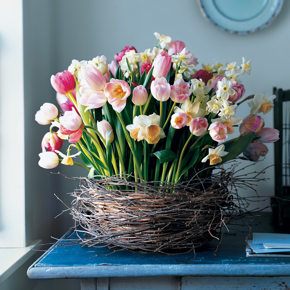 mla103219_0408_birch_tulip.jpg