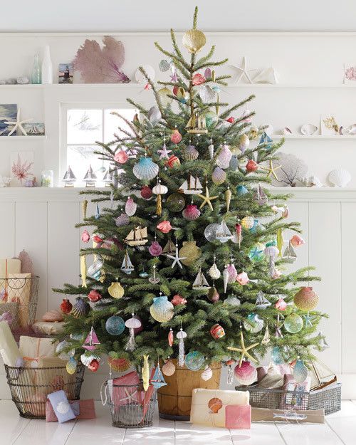 mld105140_1209_seashl_tree.jpg