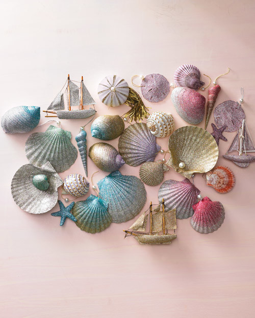 mld105140_1209_shells_prev.jpg
