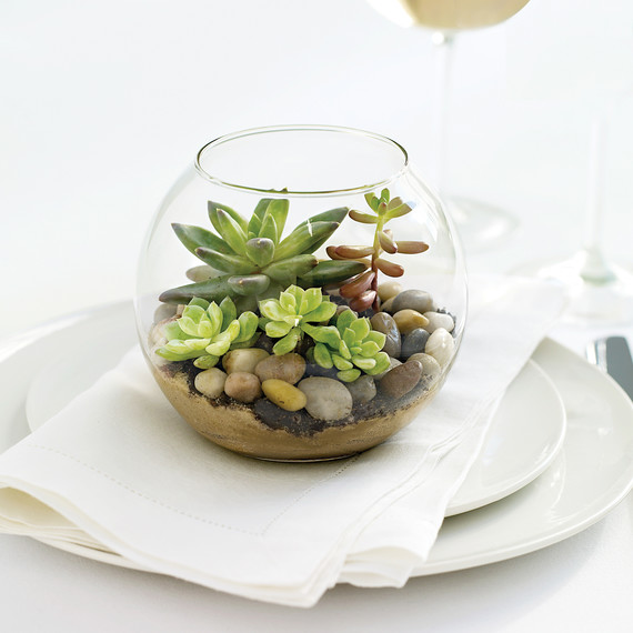 mwd104697_sum09_terrarium2.jpg