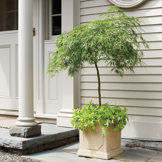 planter-maple-0022-d111341.jpg