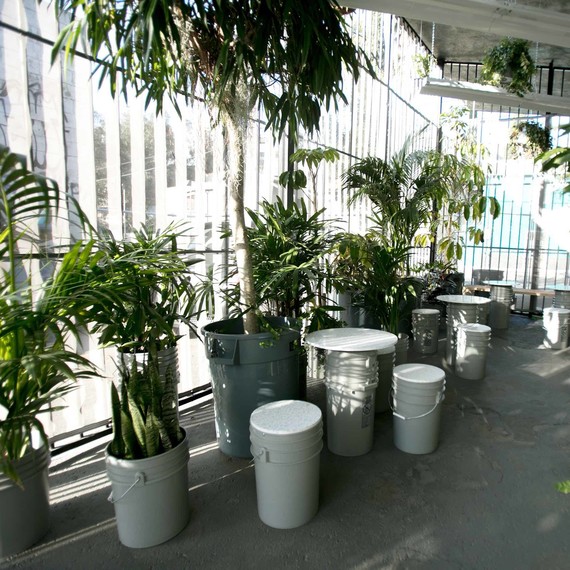 the goods mart jungle the goods mart jungle