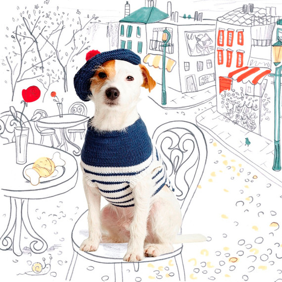 wooly-woofers-lepooch-0415.jpg