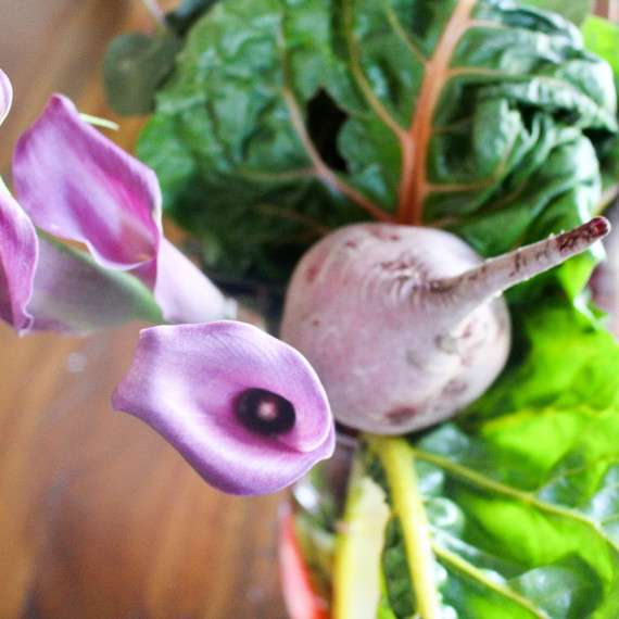 Calla-lillies-top-down-0316.jpg (skyword:234800)
