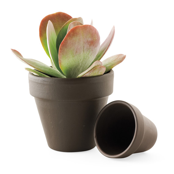 dark-clay-vessels-mld108315.jpg