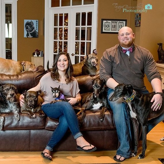 mega dog bed family portrait mega dog bed family portrait