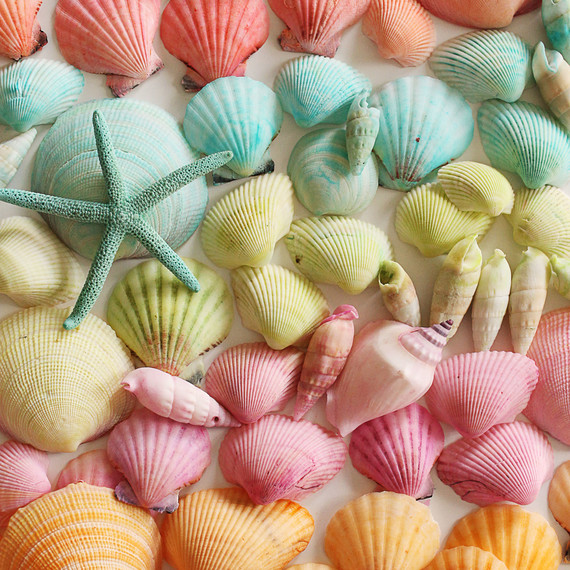 dyed-seashells-project-0617