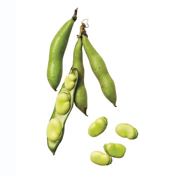fava-beans-063-d112767-0216.jpg