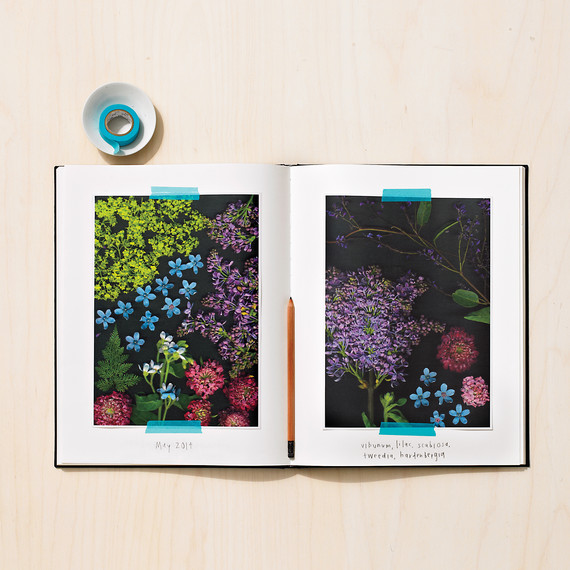 flower-journal-216-md110971.jpg