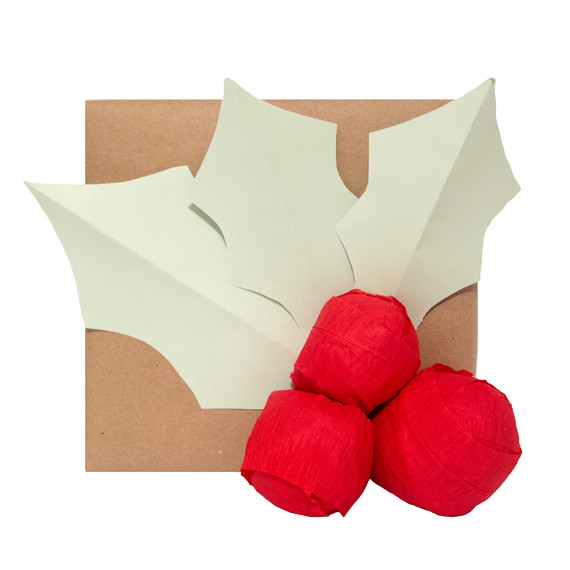 holiday-gift-wrap-3-tm-1214.jpg
