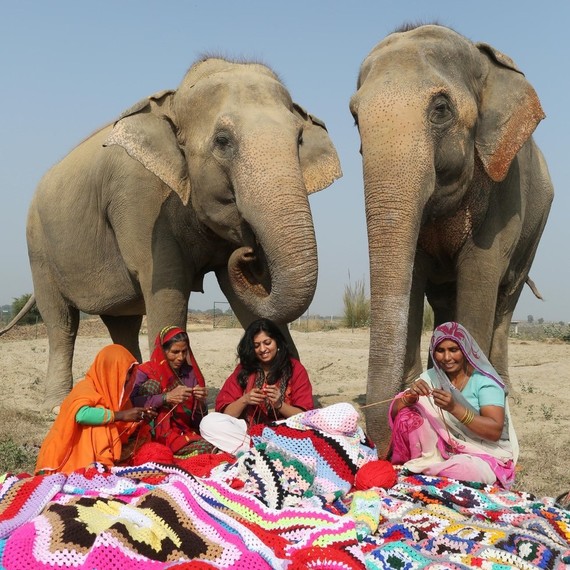 knit sweaters for rescued elephants knit sweaters for rescued elephants