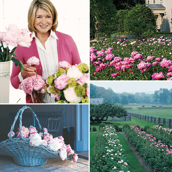 martha stewart collage with peonies martha stewart collage with peonies