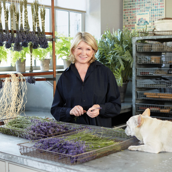 martha_lavender-056-d112299.jpg