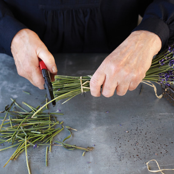 martha_lavender-131-d112299.jpg
