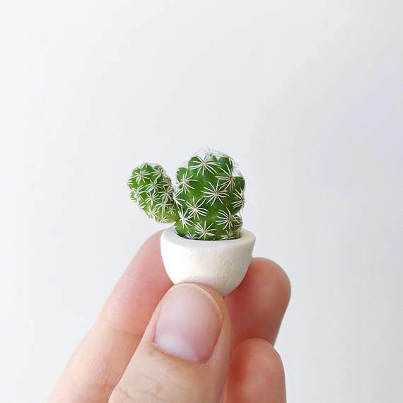 These Miniature Cacti are Grown to Last for Years Martha Stewart