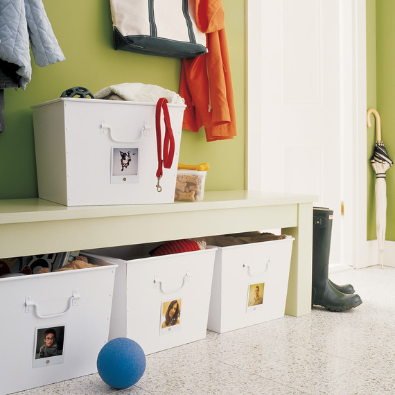 mla101106_gt07_fam_org_bins.jpg