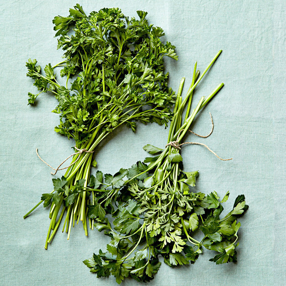 parsley varieties parsley varieties