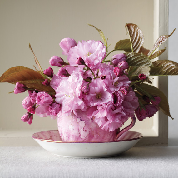single-teacup-158-mld108799.jpg