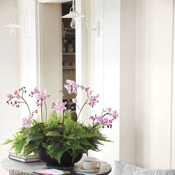 tableau-orchids-032-d111604.jpg