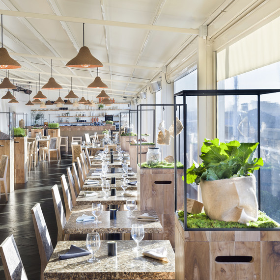 wasted-london-interior-0317