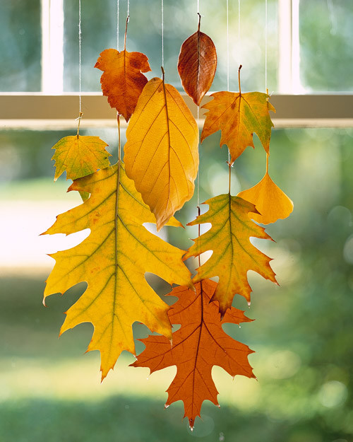 a99191_halloweensip07_leaves.jpg