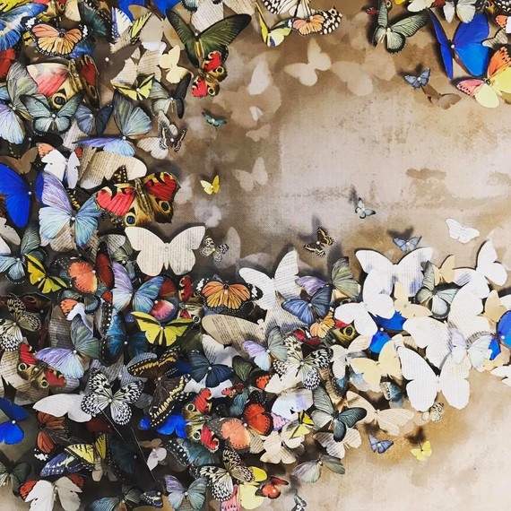 paper butterflies paper butterflies