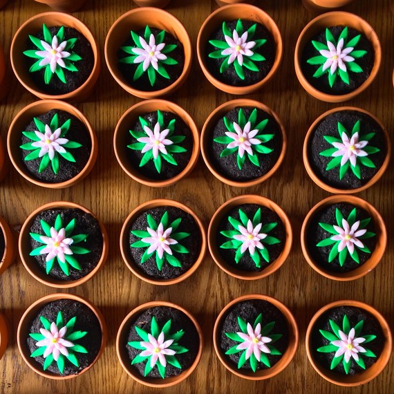 flower-cupcake-overhead-0615