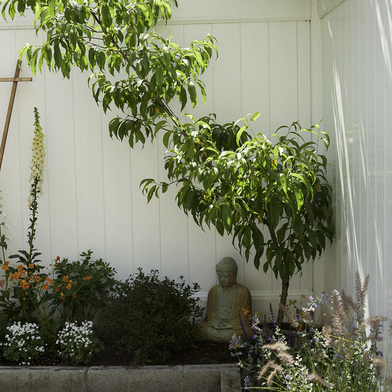 garden-buddha-peachtree-0616.jpg (skyword:296423)