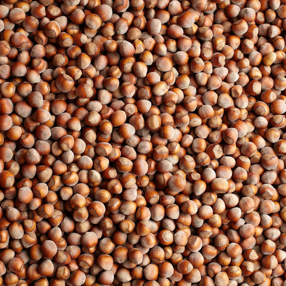 hazelnuts detail hazelnuts detail