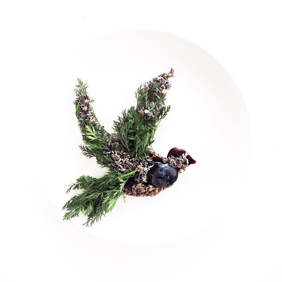 hummingbird-food-art-cc-0617
