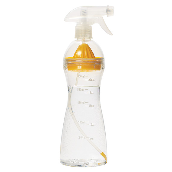 lemon-water-bottle-mld110972.jpg