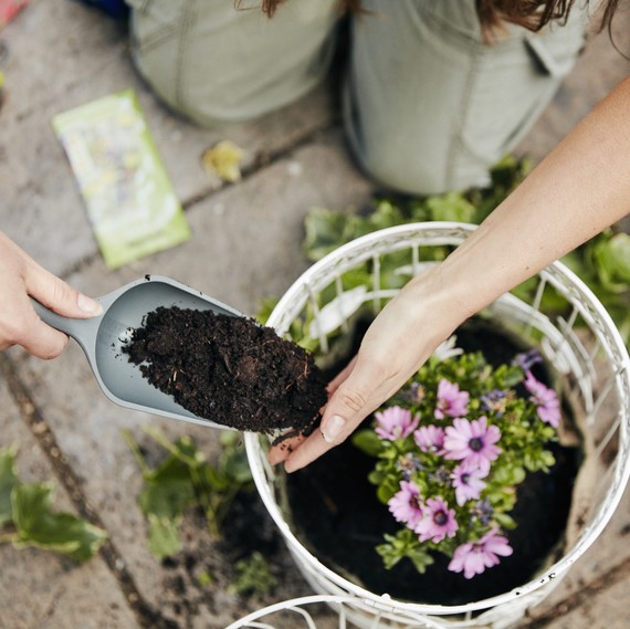 mulching-benefits-getty-0319.jpg