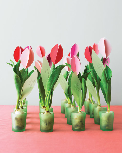 mwd105402_spr10_tulip04_prev.jpg