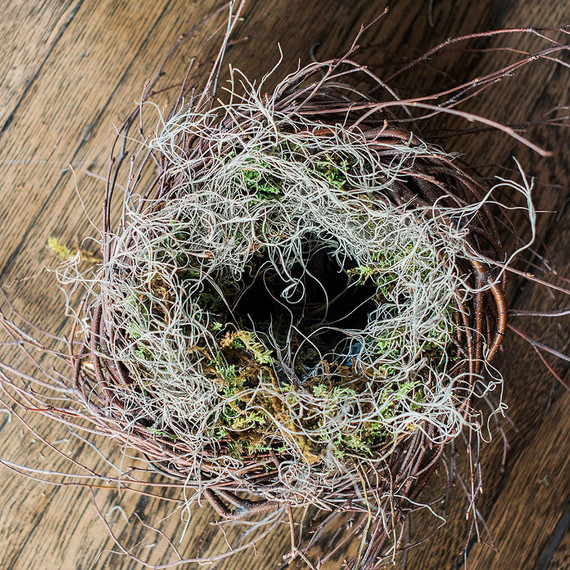 nest-easter-spanishmoss-0313.jpg