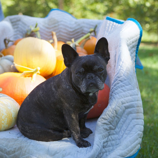 pickingpumpkins-9232-fs-1014.jpg