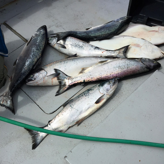 sarah-carey-alaska-fish-0915.jpg