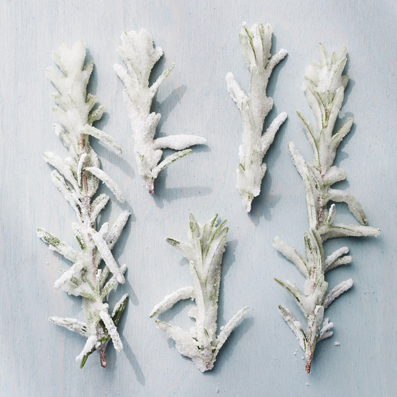 sugared-rosemary-039-d111566.jpg