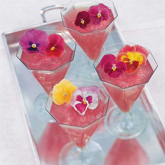 watermelon punch pansy watermelon punch pansy