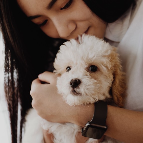 Woman holiding dog Woman holiding dog