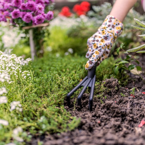 working in garden working in garden
