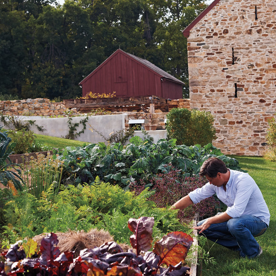 wyebrook-farm-09-002-d111590.jpg
