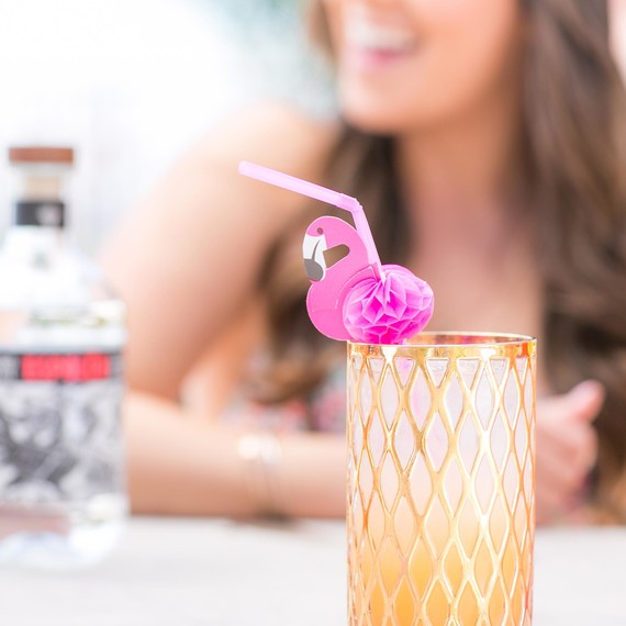 3-flamingo-pool-party-5-21-15.jpg