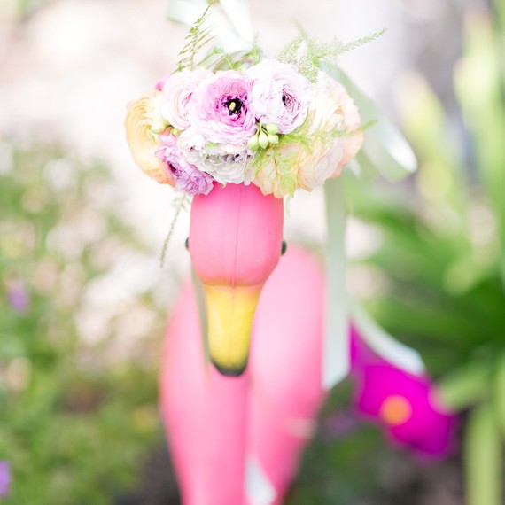 8-flamingo-pool-party-5-21-15.jpg